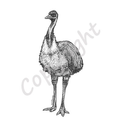 Emu Thumbnail